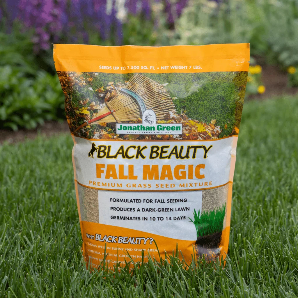 (7104) Black Beauty Fall Magic Grass Seed 3lb Bag  - Jonathan Green