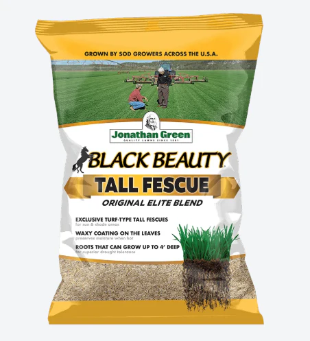 (7141) - Black Beauty Tall Fescue (Original), per lb Jonathan Green