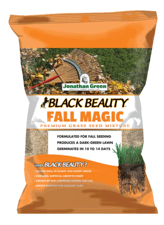 (6015) Black Beauty Fall Magic Grass Seed (per lb)