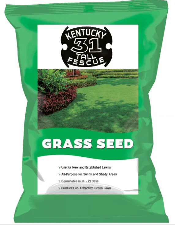 (89923) - Black Beauty Kentucky 31 Grass Seed 25 lb Bag