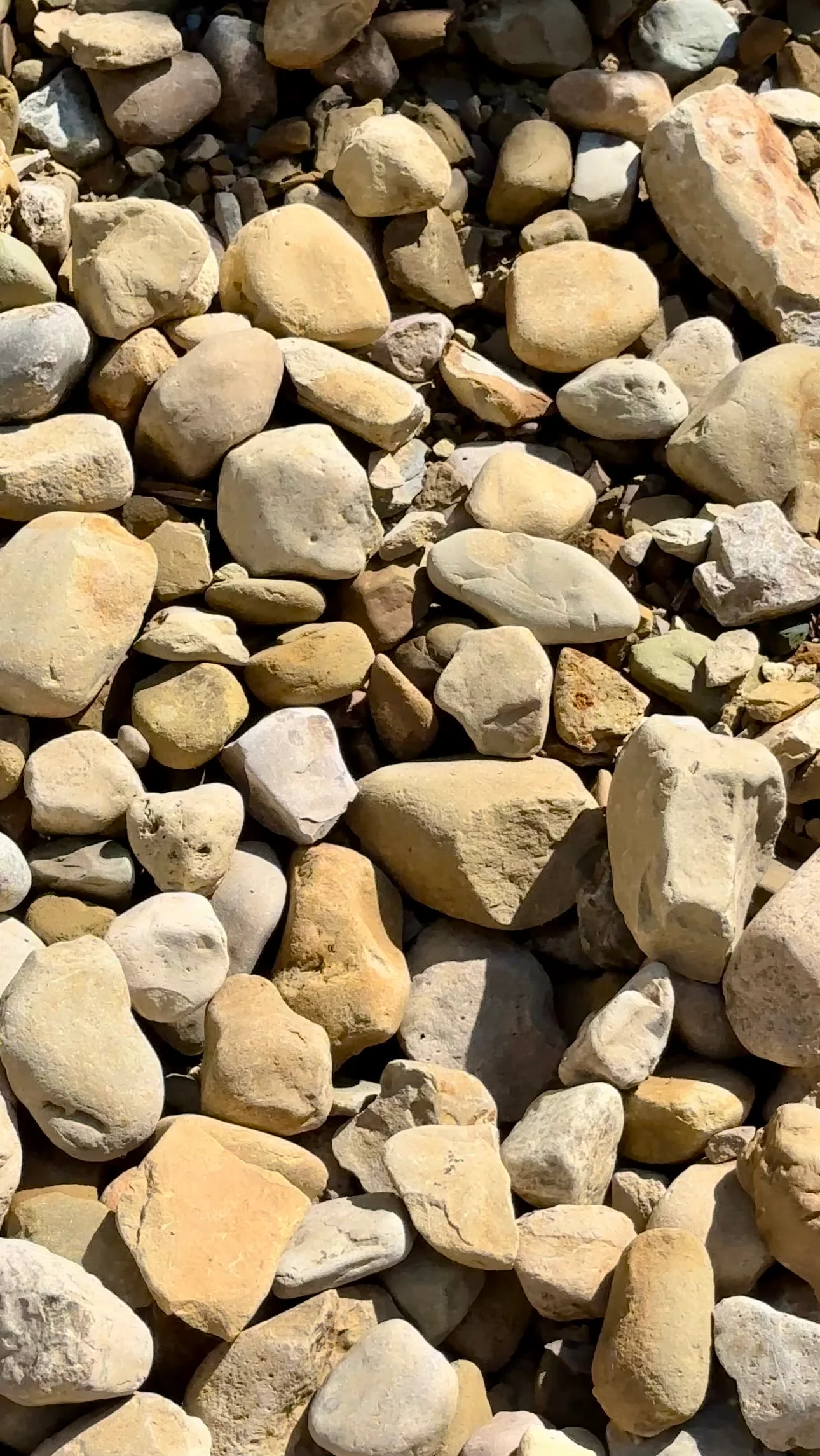 (9022) - Large River Rock 2"-6", Bulk (1/2 CY)