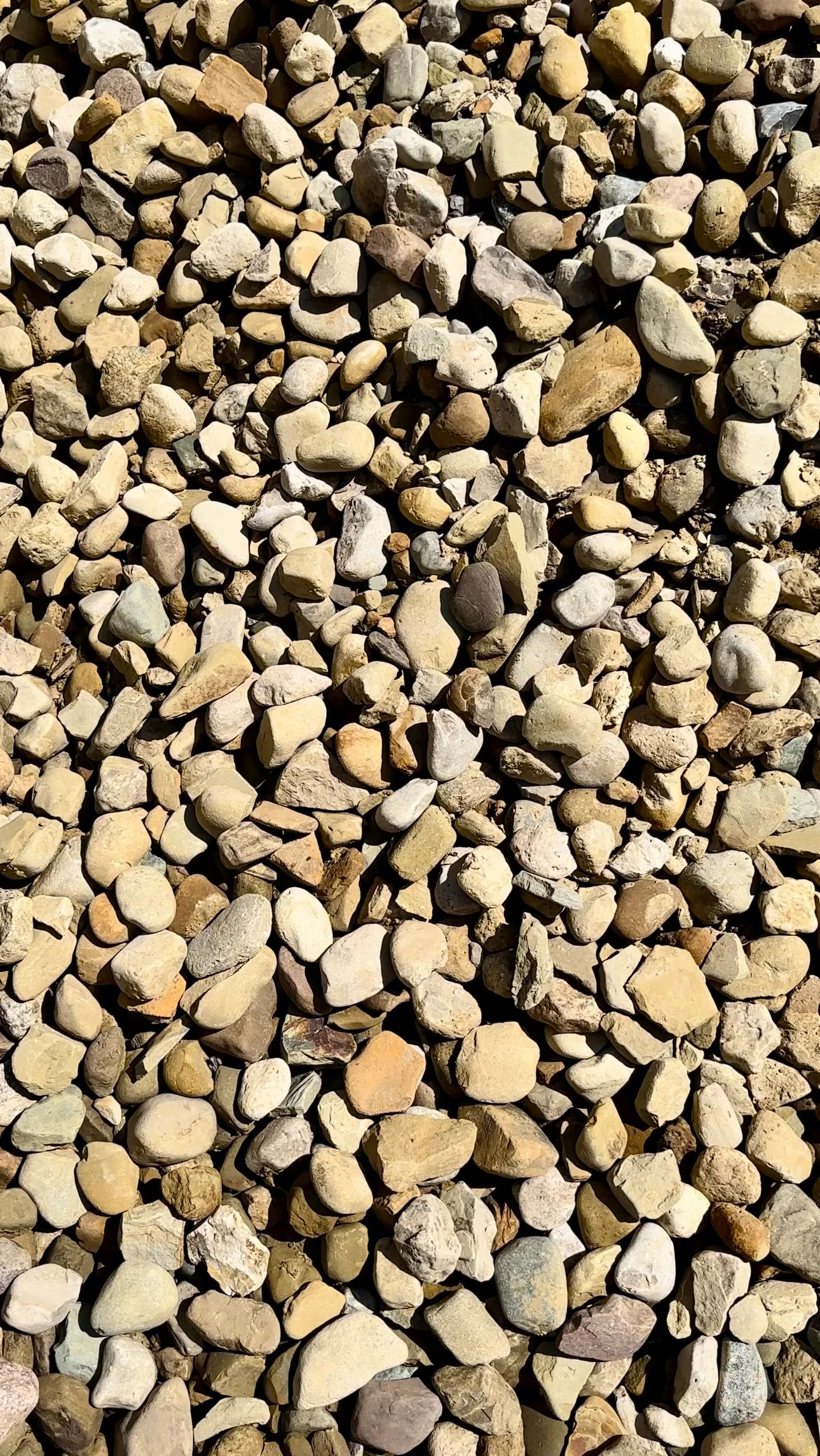 (9022) - Large River Rock 2"-6", Bulk (1/2 CY) - Image 2