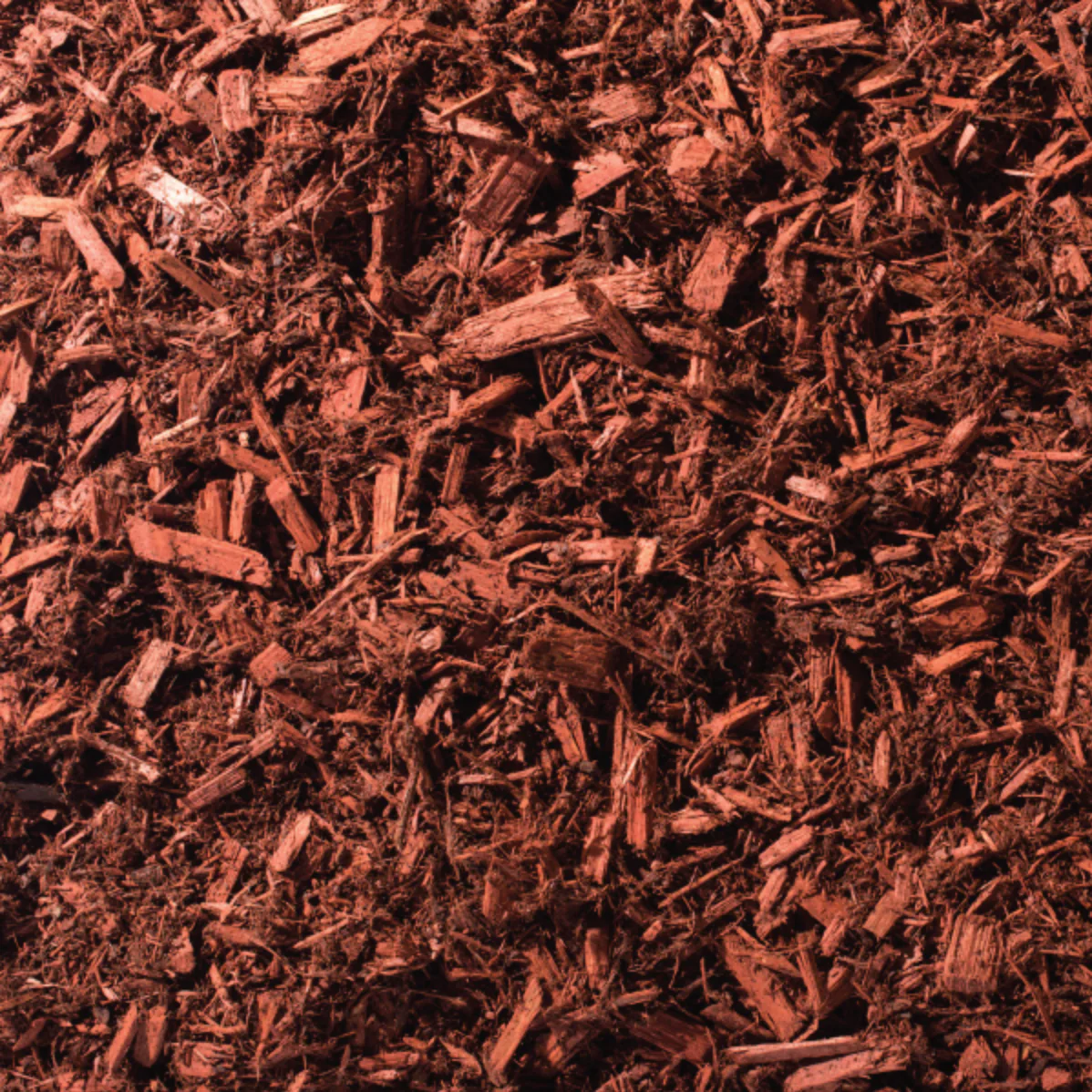 (1922) - Absolute Red Shredded Mulch (2 CF) - Image 3
