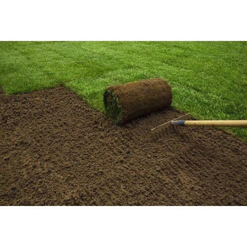 #9901 - Kentucky Blue/Fescue blend Grass SOD by the Pallet or Piece - 21" x 42" - Image 2