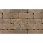 Laredo Wedge Sandstone #2198