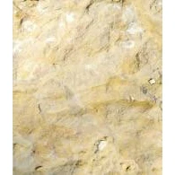 Ohio Buff Slabs #7209 Per Lb.