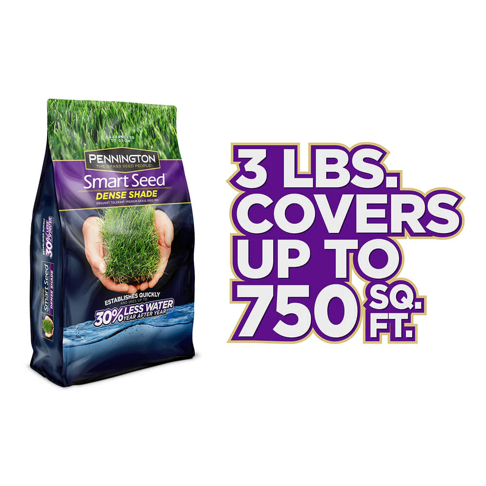 #6915 - Pennington Dense Shade Mix 3lb - Image 5