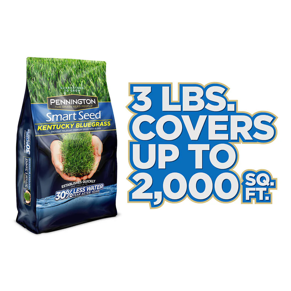 #6904 - Pennington Kentucky Bluegrass 3lb - Image 6