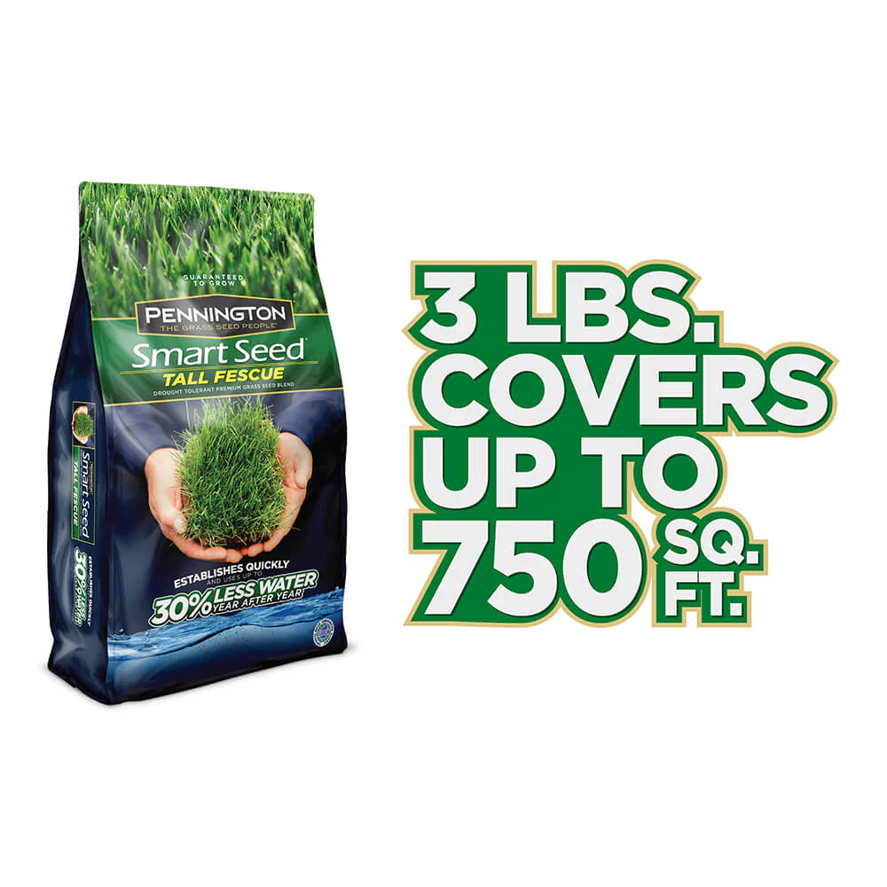 #6905 - Pennington Tall Fescue Bld 3lb - Image 6