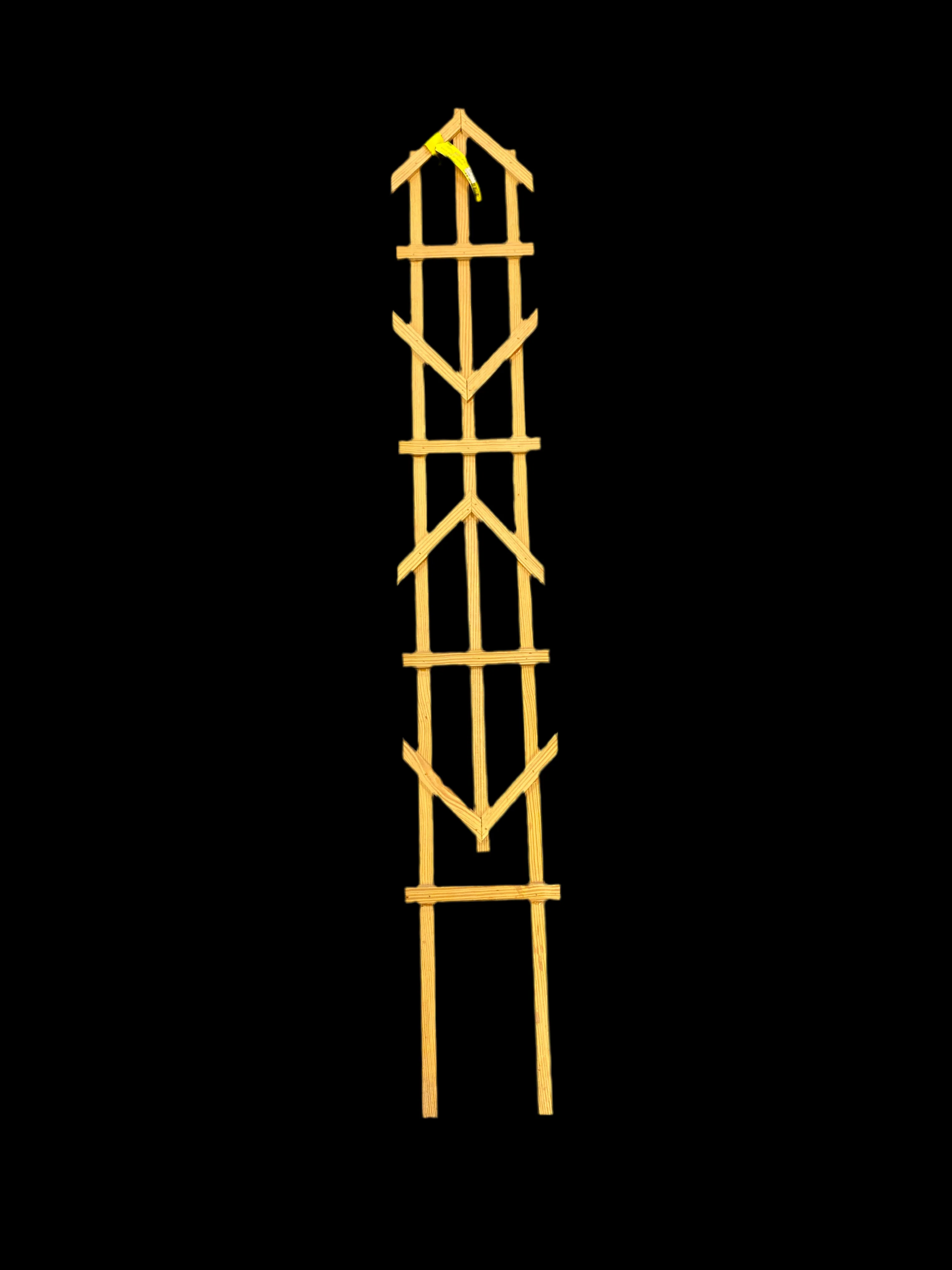 Spire Trellis (#6002)
