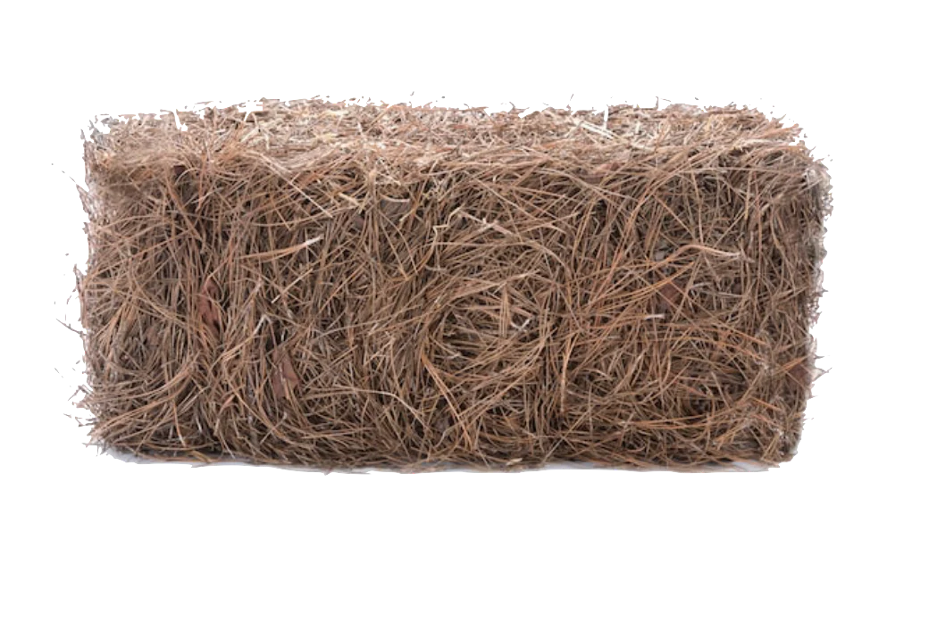 (385) - Pine Straw